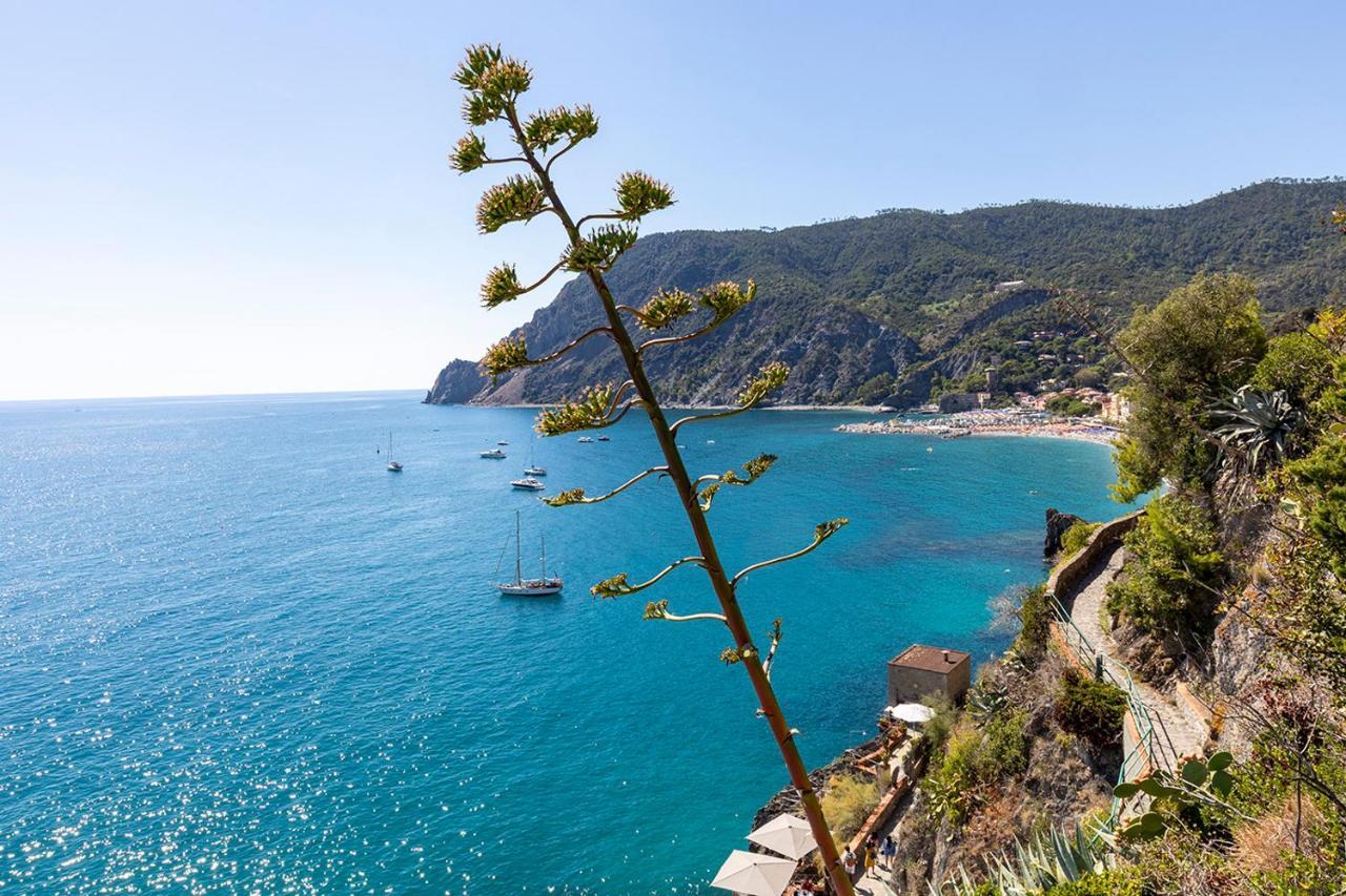 Antica Ancora Rooms Monterosso al Mare Ngoại thất bức ảnh